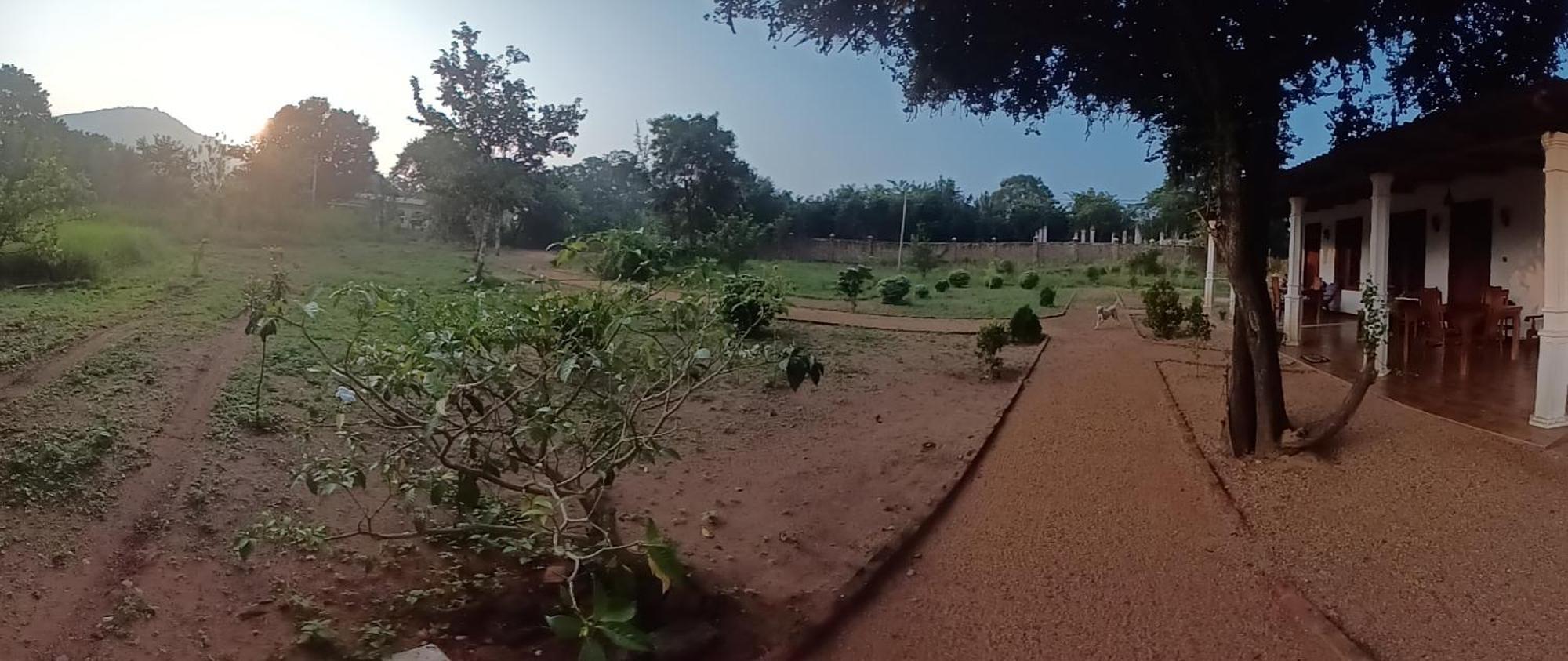 Sigiri Arana Sigiriya Hotel ภายนอก รูปภาพ