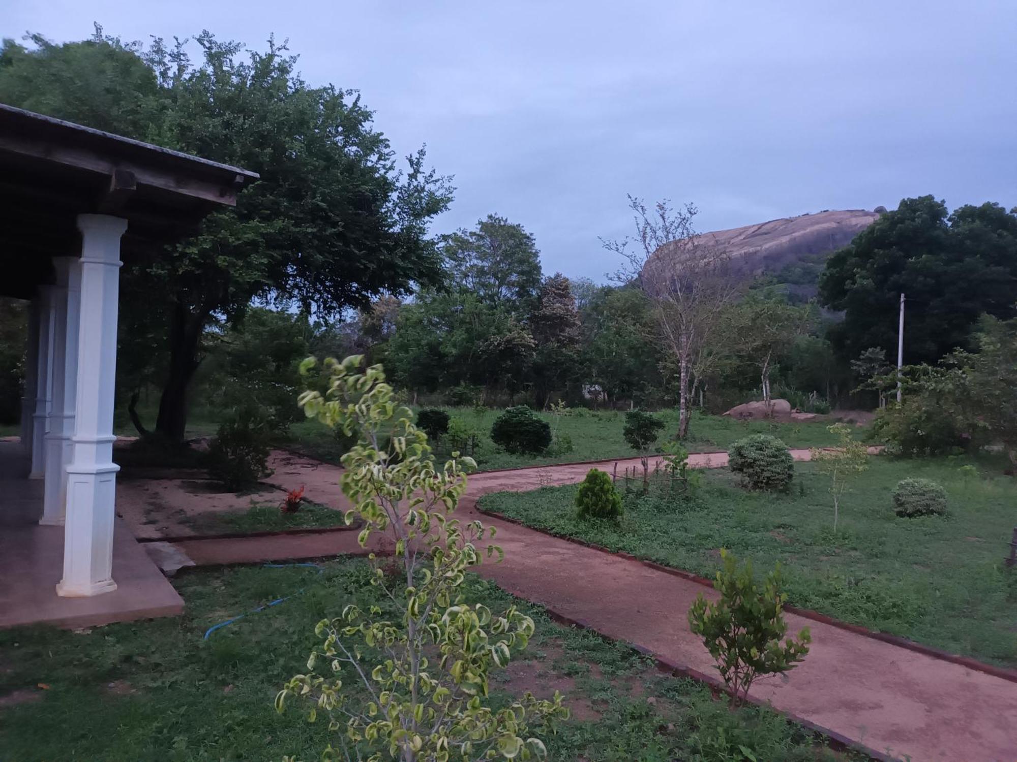 Sigiri Arana Sigiriya Hotel ภายนอก รูปภาพ