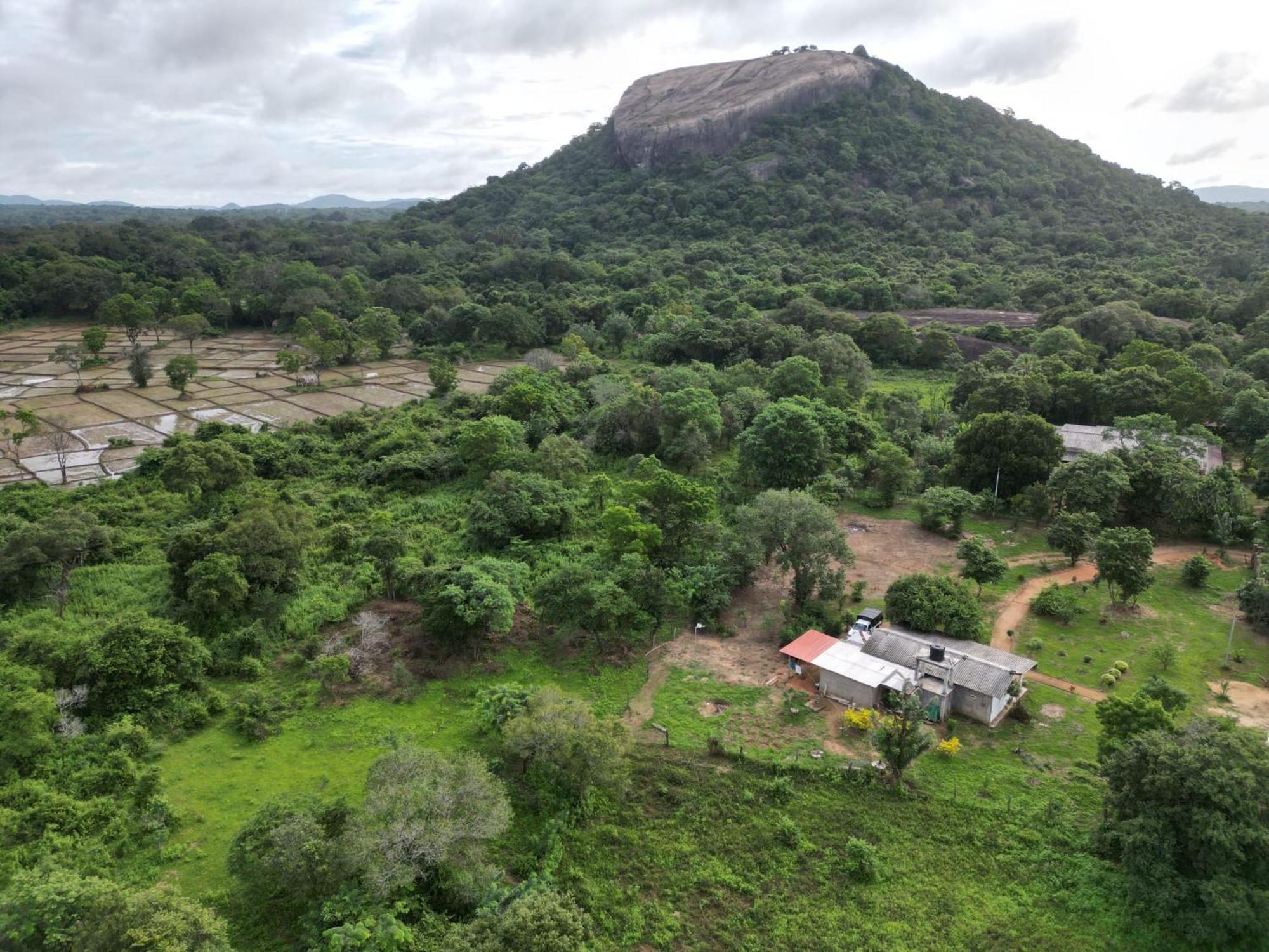 Sigiri Arana Sigiriya Hotel ภายนอก รูปภาพ